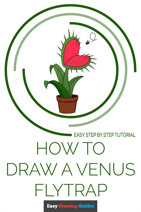 How To Draw A Venus Flytrap With Step By Step Instructions For