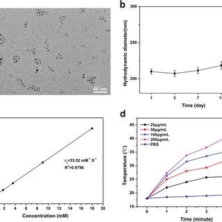 Characterization Of Hapda Fe O Nanoparticles A Tem Images Of Hapda