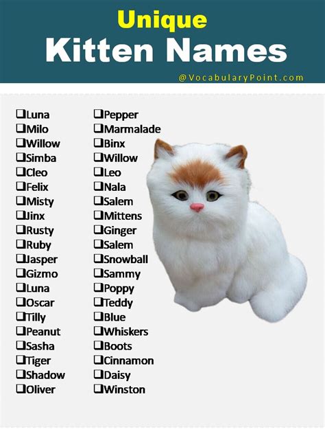 100 Cute Kitten Names Kitten Names Cute Cat Names Cute Names