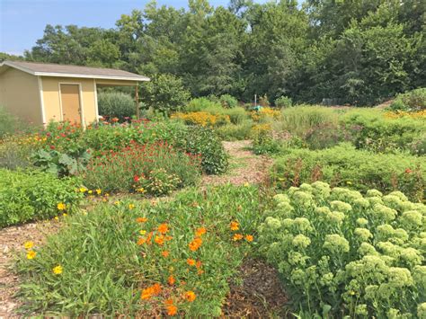 Native Plant Landscaping Symposium Dyck Arboretum