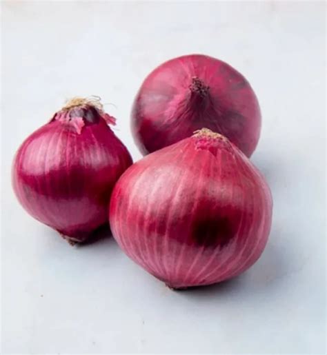 Maharashtra A Grade 50mm Organic Red Shallots Onion At 18 Kg In Nashik