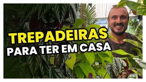 Conheça 3 TREPADEIRAS para cultivar DENTRO DE CASA YouTube