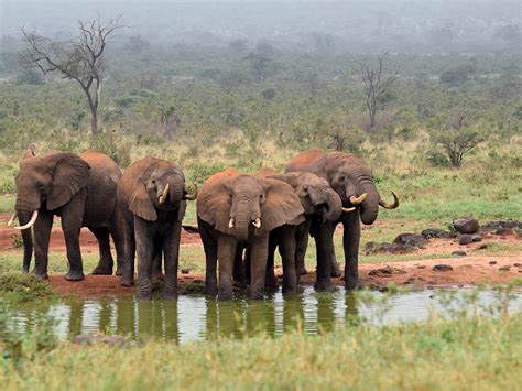 Tsavo West National Park Kenya Experience