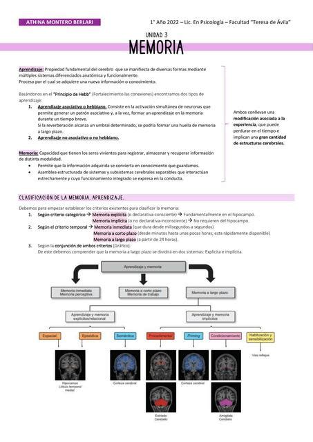 Memoria Neurociencias Trofoblastocito O Psiquisnotes Udocz