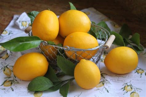 Easy Kumquat Jam Recipe No Pectin Added And Award Winning Christina S Cucina