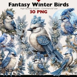 Blue Winter Birds Clipart Bundle Fantasy Birds Watercolor Christmas