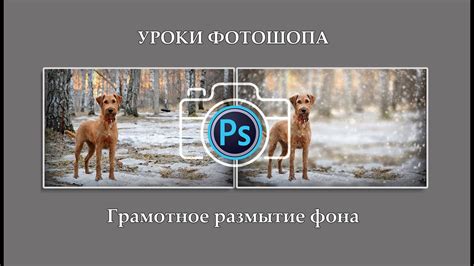 Грамотное размытие фона в фотошоп - YouTube