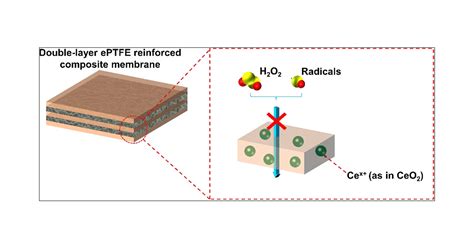 Double Layer Expanded Polytetrafluoroethylene Reinforced Membranes With