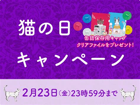 1週間限定！猫の日キャンペーンスタート！ 《プレイアーデン公式》