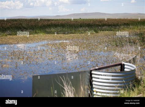water management structure   national park designed