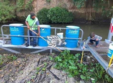 Proyecto Kayam libera al río Jamapa de 700 kilos de basura