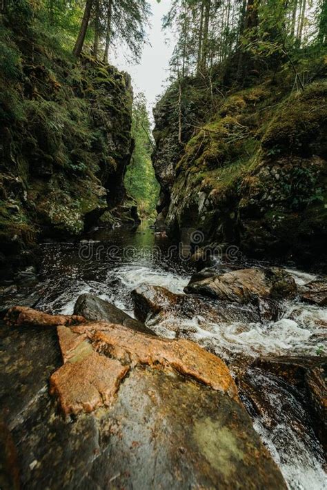 Wald Und Fluss Der Haslach Schlucht Neben Wutach Schlucht Im Schwarzen