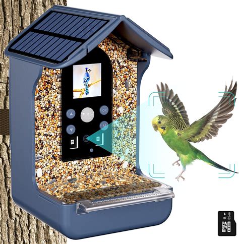 Mangeoire à Oiseaux avec Caméra Intelligente Bozily HD 1080P Exterieur