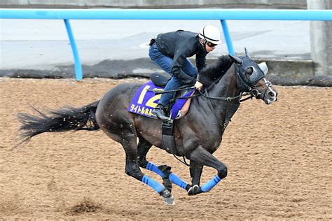 化楽 on Twitter RT tospo keiba 宝塚記念 1週前追い切り タイトルホルダー 2馬身遅れも栗田調教