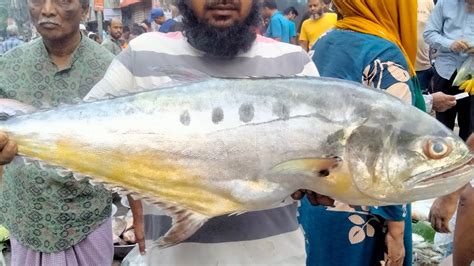 Fish Cutting Skills Live In Bangladesh Fish Market Amazing Surma Fish