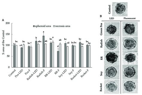 The Anti Proliferative Spheroid Area And Pro Apoptotic Effects