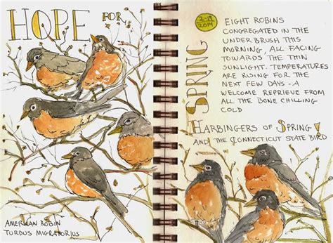 Jan Blencowe's Sketchbook Hypothesis: Sketchbook Journal Class Coming in June!