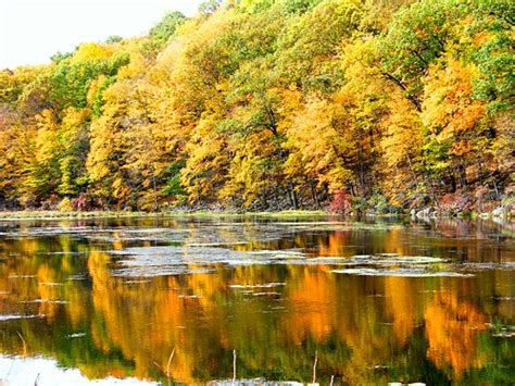 Orange Fall Reflection Stanley Zimny Thank You For 70 Million Views