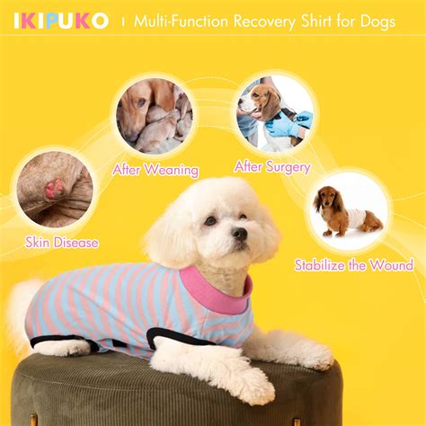 Petco Recovery Suit Atelier Yuwa Ciao Jp