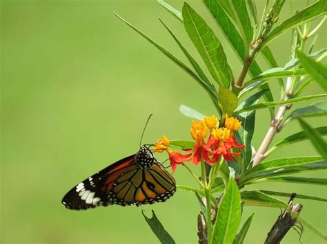 Parks in Bangalore | Bangalore Parks | Kids-friendly Parks Bangalore