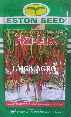 Toko Pertanian Terdekat Lmga Agro Cara Menanam Cabe Hai Lux Tahan