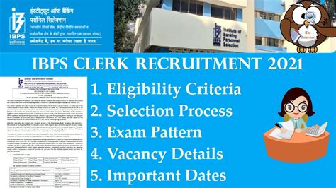 Ibps Clerk Notification Ibps Clerk Selection Process