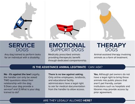 Psychiatric Service Dog – PSD – OFFICIAL SERVICE DOG & EMOTIONAL SUPPORT ANIMAL REGISTRATION