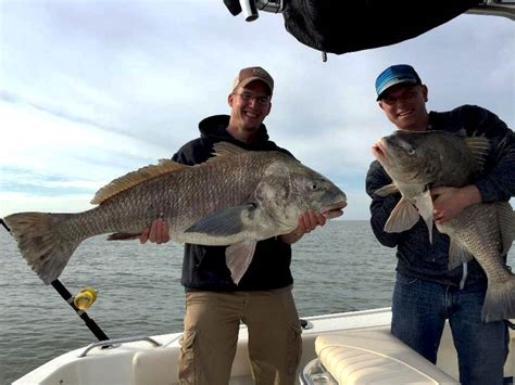 Galveston Bay Fishing The Complete Guide Updated