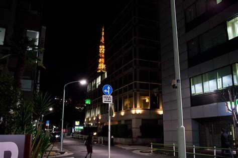 Shiba Park Hotel Review - Quiet And Awesome Place In Tokyo - Ordinary ...