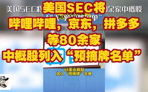 美国sec将哔哩哔哩，京东，拼多多等80余家中概股列入“预摘牌名单” 哔哩哔哩 Bilibili