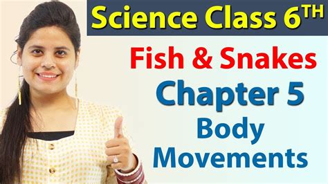 Fish And Snakes Chapter 5 Body Movements NCERT Science Class 6