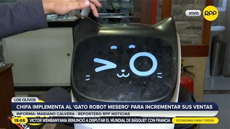 Gato Robot Mesero La Nueva Sensaci N Que Ha Incrementado Las Ventas