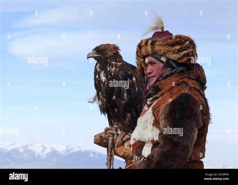Mongolia Altaï Berkutchi Eagle Hunter Whith His Royal Eagle Scanning