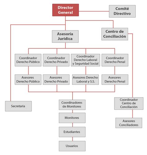 Organigrama Consultorio