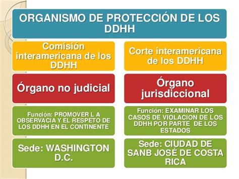 Mecanismo De Protección De Los Ddhh