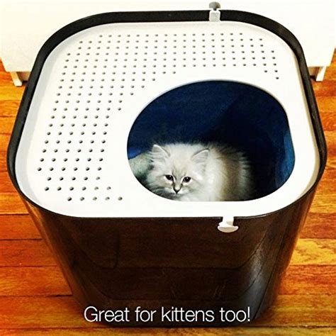 Modkat Top Entry Litter Box Includes Scoop And Reusable Liner All Cat