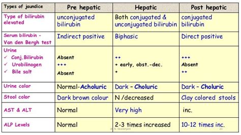 Heme Catabolism And Jaundice