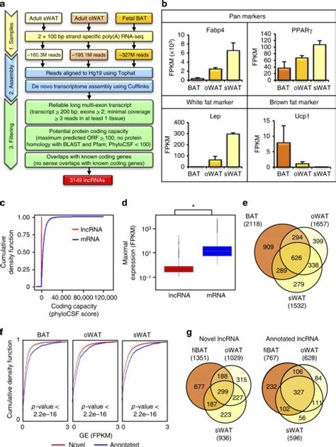 De Novo Reconstruction Of Human Adipose Transcriptome Reveals Conserved