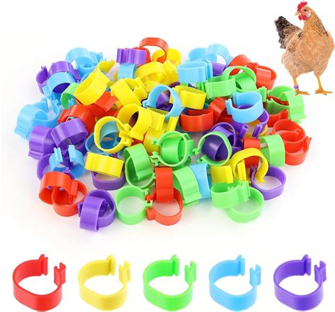 Amazon Bygytyo 240 Pieces Chicken Leg Rings Multiple Color