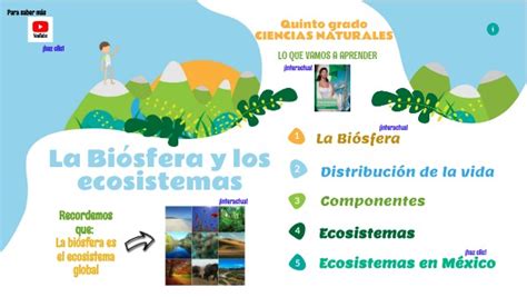 LA BIOSFERA Y LOS ECOSISTEMAS QUINTO GRADO