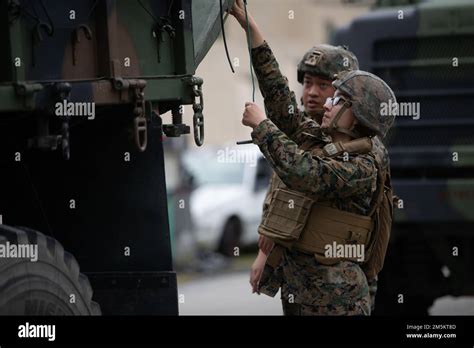 U S Marines With Headquarters Battalion 2d Marine Division Prepare A