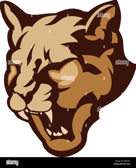 Cougar Mascot Head Vector Illustration Stock Vector Image Art Alamy