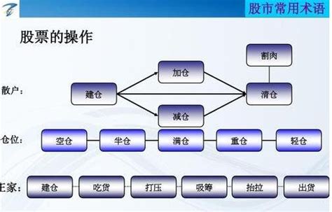 炒股票的基本步骤是什么？新手炒股的注意事项有哪些？ 股市聚焦赢家财富网