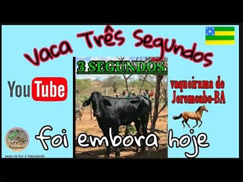 Vaca Tr S Segundos Foi Embohoje Contra A Vaqueirama De Jeremoabo Ba