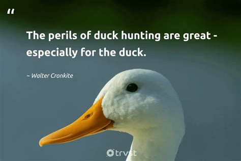 Duck Hunting Quotes