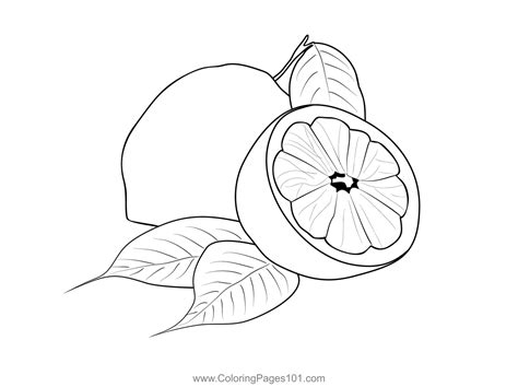 Lemons 1 Coloring Page For Kids Free Lemon Printable Coloring Pages