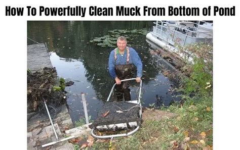 How To Powerfully Clean Muck From Bottom Of Pond Step By Step Guides