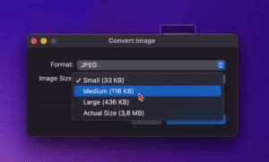 Best Ways To Compress Jpeg Images Without Losing Quality Shortpixel