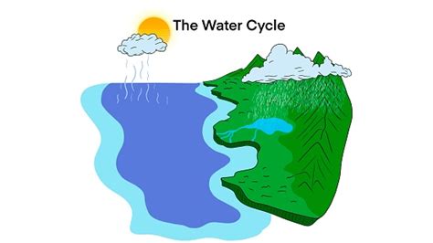 The Water Cycle Diagram Representation Of The Water Cycle In Nature Water Process On Earth Stock