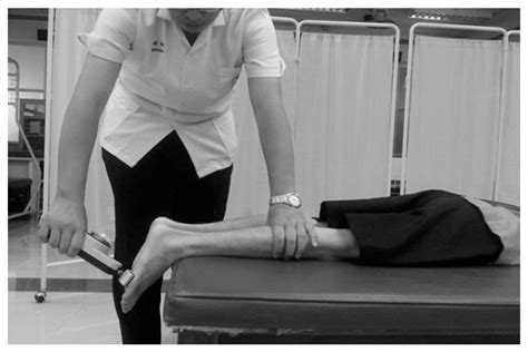 Jfmk Free Full Text The Influence Of Knee Extensor And Ankle